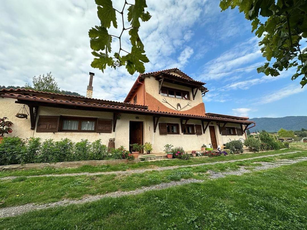 Eleni Country Cottage 2 فينيوس المظهر الخارجي الصورة