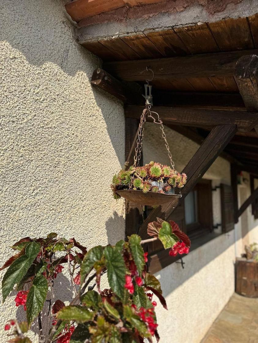 Eleni Country Cottage 2 فينيوس المظهر الخارجي الصورة
