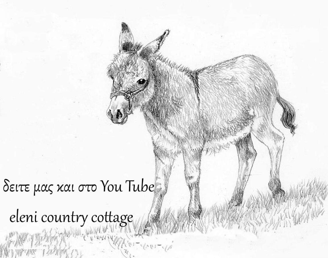 Eleni Country Cottage 2 فينيوس المظهر الخارجي الصورة